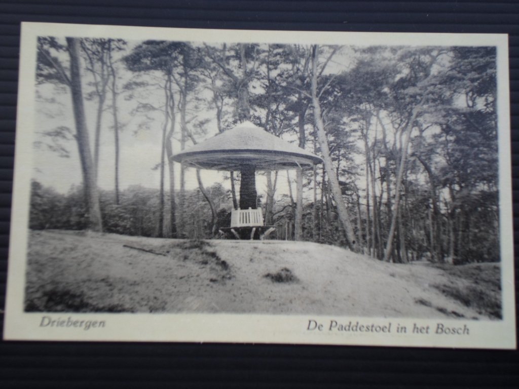  - Driebergen, De Paddestoel