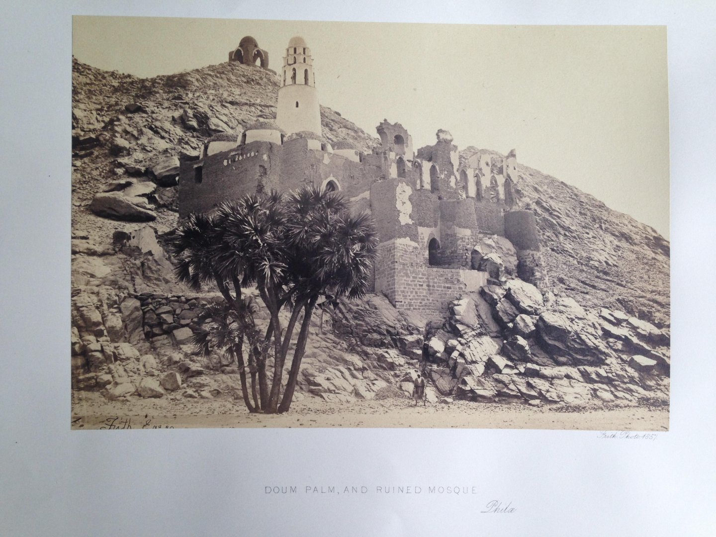 Frith, Francis - Doum Palm and Ruined Mosque, Series Egypt and Palestine
