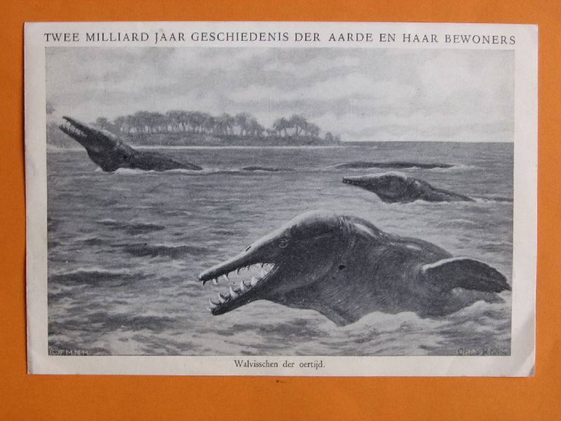 Boekfolder - Twee milliard jaar geschiedenis der aarde en haar bewoners