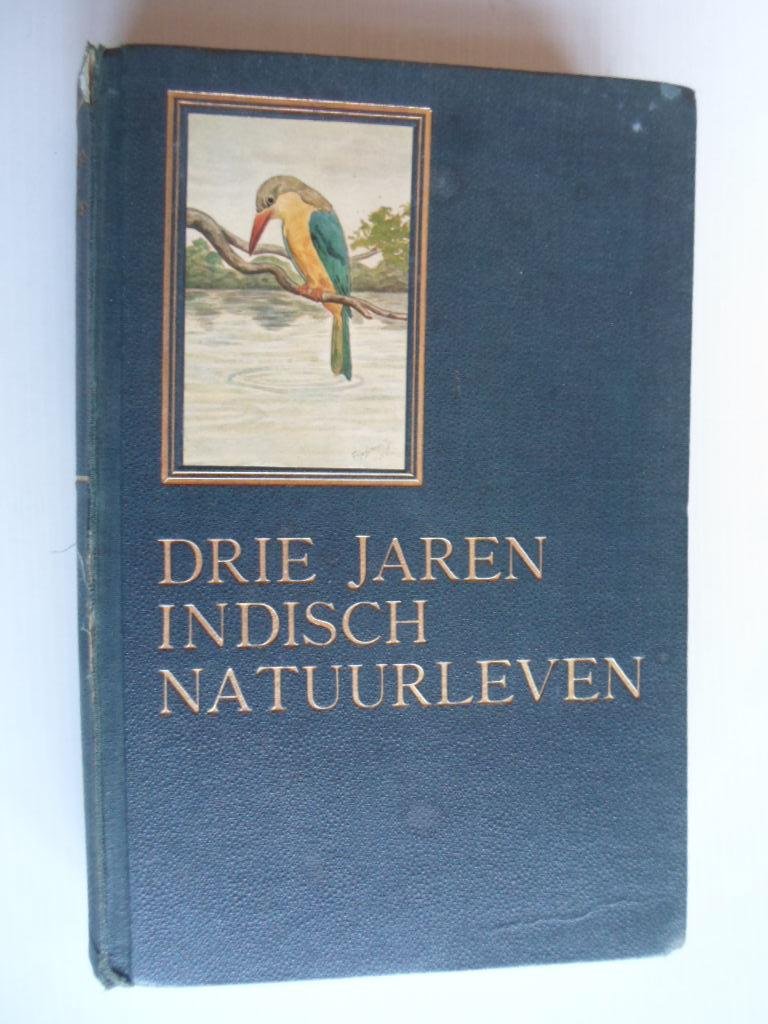  - Drie Jaren Indisch Natuurleven, Elfde Verslag 1936-1938
