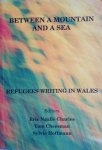 Eric Ngalle Charles, Tom Cheesman, Sylvie Hoffmann - Between a mountain and a see - Refugees writing in Wales