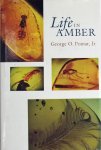 Poinar, George O. - Life in Amber