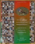 Hustings, F. - Vergeer, J.W. - atlas van de Nederlandse broedvogels, verspreiding - aantallen - verandering, Nederlandse Fauna dl.5