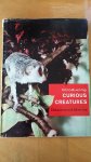 Desmond Morris - Introducing Curious Animals