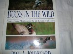 Johnsgard, Paul A. - Ducks in the wild. Conserving waterfowl and their habitats