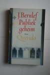 Bernlef, J. - PUBLIEK GEHEIM