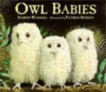 Martin Waddell & Patrick Benson (illustrator) - Owl Babies