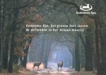 Auteurs (diverse) - Gemeente Epe, het groene hart tussen de weilanden in het Veluwe-massief