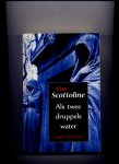 SCOTTOLINE, LISA - Als twee druppels water (legal thriller)