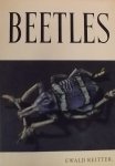 Reitter, Ewald. - Beetles.