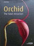 Ronse, A. - Orchid the fatal attraction