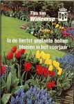 Willemse - In de herfst geplante bollen bloeien in het voorjaar
