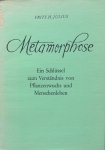 Julius, Frits H. - Metamorphose; ein Schlüssel zum Verständnis von Pflanzenwuchs und Menschenleben