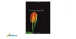 Bouwman, Harry e.a. - Let a Thousand Flowers Bloom / Essays in Commemoration of Prof. Dr. Rene Wagenaar