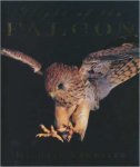 Michael Tennesen - Flight of the Falcon Hardcover – March, 1993