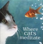 Baird, David (edited by) - Where cats meditate