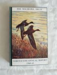 Boyd, Hugh illust. P.Scott - The Thirteenth Annual Report of The Wildfowl Trust 1960 - 1961