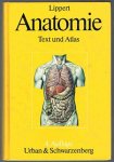 Herbert Lippert - Anatomie. Text und Atlas. Deutsche und lateinische Namen.