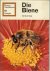 Hess Getrud - Die Biene  ..  Taschenbuch  [ 41 Zoologie ]  zur schnellen information zum standigen gebrauch