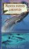 Carwardine, Mark e.a. - Walvissen, Dolfijnen  Bruinvissen (De complete gids voor zeezoogdieren), 288 pag. hardcover, zeer goede staat