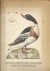 Sepp en Nozeman - Nederlandsche Vogelen 1770 - 1829. Zestien reproducties in kleur naar de fraaiste voorbeelden met een inleiding van Dr. A. Schierbeek