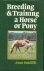 Sutcliffe, Anne - Breeding  Training a Horse or Pony
