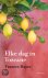 Frances Mayes - Elke dag in Toscane