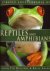 Encyclopedia of Reptiles an...