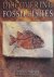 Naisey, John G. - Discovering Fossil Fishes