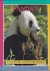 Panda's / Lezen-Leren-Doen