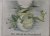 Simmich Erni, illustraties Grube Heinecke Regine - Der Mond im Froschteich