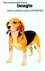 BEAGLE, How to Raise and Tr...