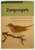 Stastny, Karel - Zangvogels. Een beschrijving van meer dan honderd soorten watervogels met vele illustraties in kleur