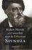 Misrahi, Robert - 100 Woorden over de ethiek van Spinoza.