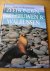 Cleave, Andrew   (vert: M.Schepens) - Zeehonden, zeeleeuwen  walrussen (Atrium Dierenreeks) met mooie kleurenfoto`s