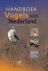 Hoogenstein, Luc - Handboek vogels van Nederland - vogelgids, natuurgids