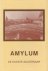 Verleysen, M. - Amylum (De Oudste Aalstenaar), 220 pag. kleine hardcover + stofomslag, gave staat
