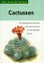 Cactussen; Een beschrijving...