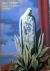Rene Magritte en het Surrea...