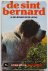 De Sint Bernard Onze hond p...