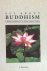 All about Buddhism; a moder...