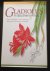 Gladiolus in Southern Africa