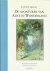 Carroll, Lewis; Tenniel, John [illustraties]; Matsier, Nicolaas [vert.] - De avonturen van Alice in Wonderland.