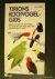 Martin, R.M. - Tirions kooivogelgids. Beschrijving van meer dan 450 soorten met dan 350 soorten in kleur.