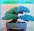 Kenji Murata - Practical bonsai for beginners