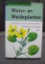 Vetvicka, Vaclav - Water- en weideplanten : Een beschrijving van meer dan 100 soorten water- en weideplanten, met vele illustraties in kleur.