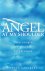 Eckersley, Glennyce S. - An angel at my shoulder; true stories of angelic experiences