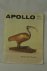 Apollo, April 1982, Volume ...