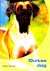  - DUITSE DOG - Esther Verhoef