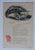 Folder - Autostamkaart